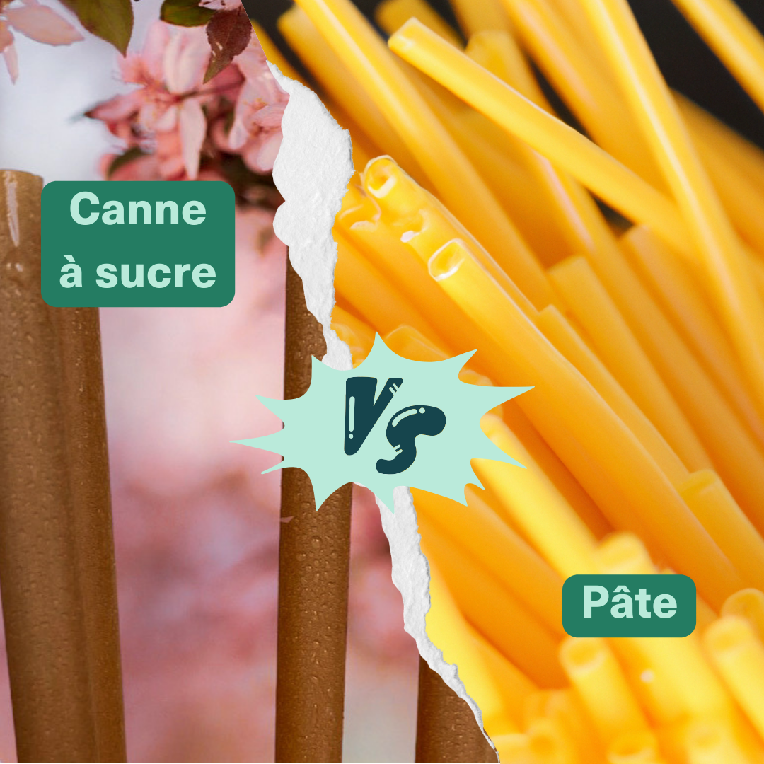 Pailles en pâte vs Pailles Straws-berry