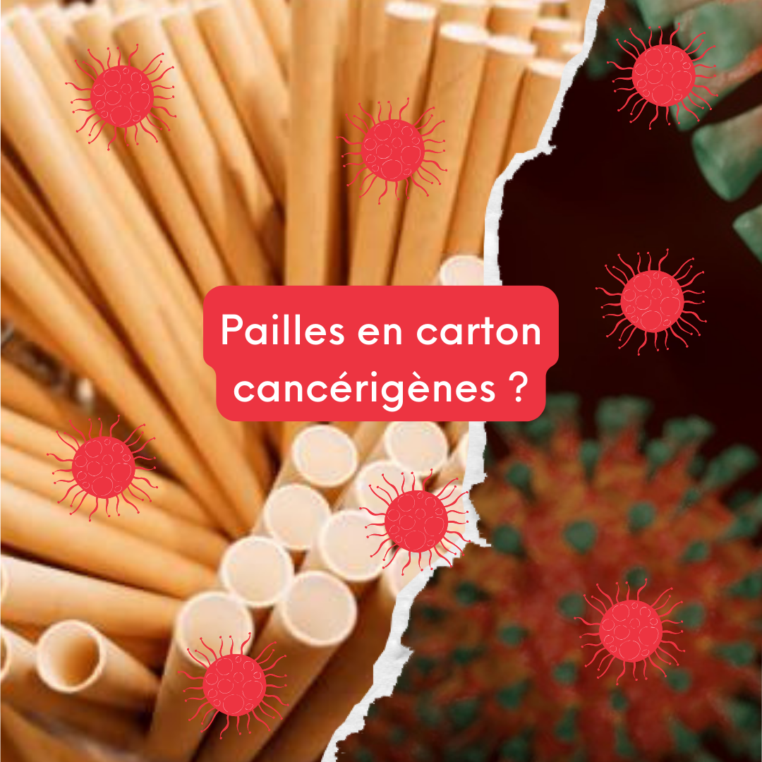 Pailles en carton cancérigènes