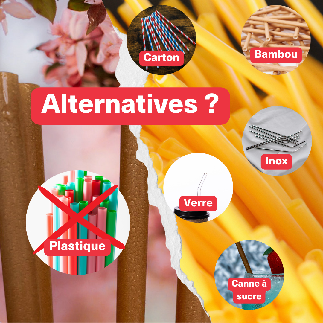 Alternatives aux pailles plastiques