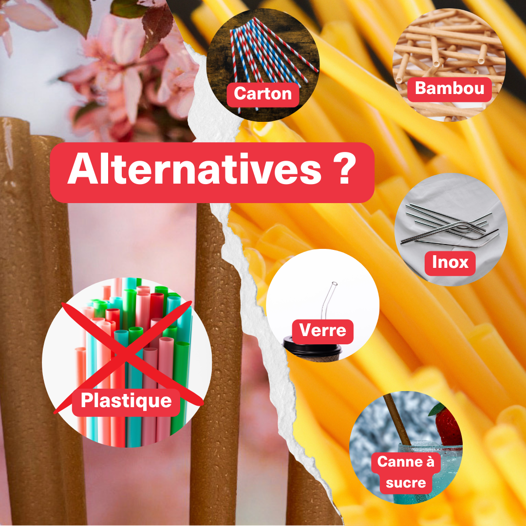 Les alternatives aux pailles en cartons : laquelle choisir pour votre établissement ?
