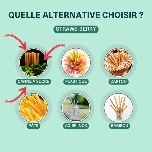 Pailles pas chères : quelle alternative choisir ?