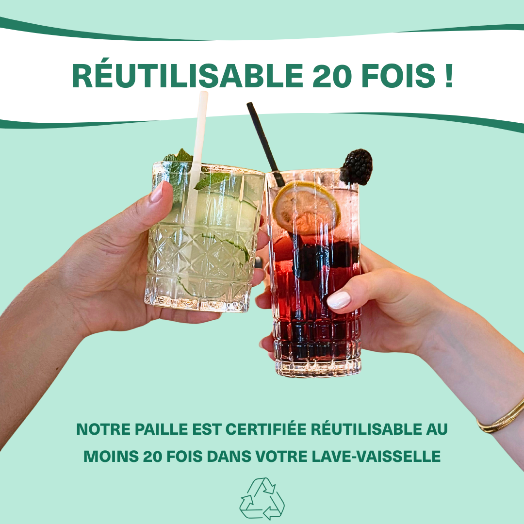 La LARGE-BERRY - Paille pour smoothies en fibres végétales françaises
