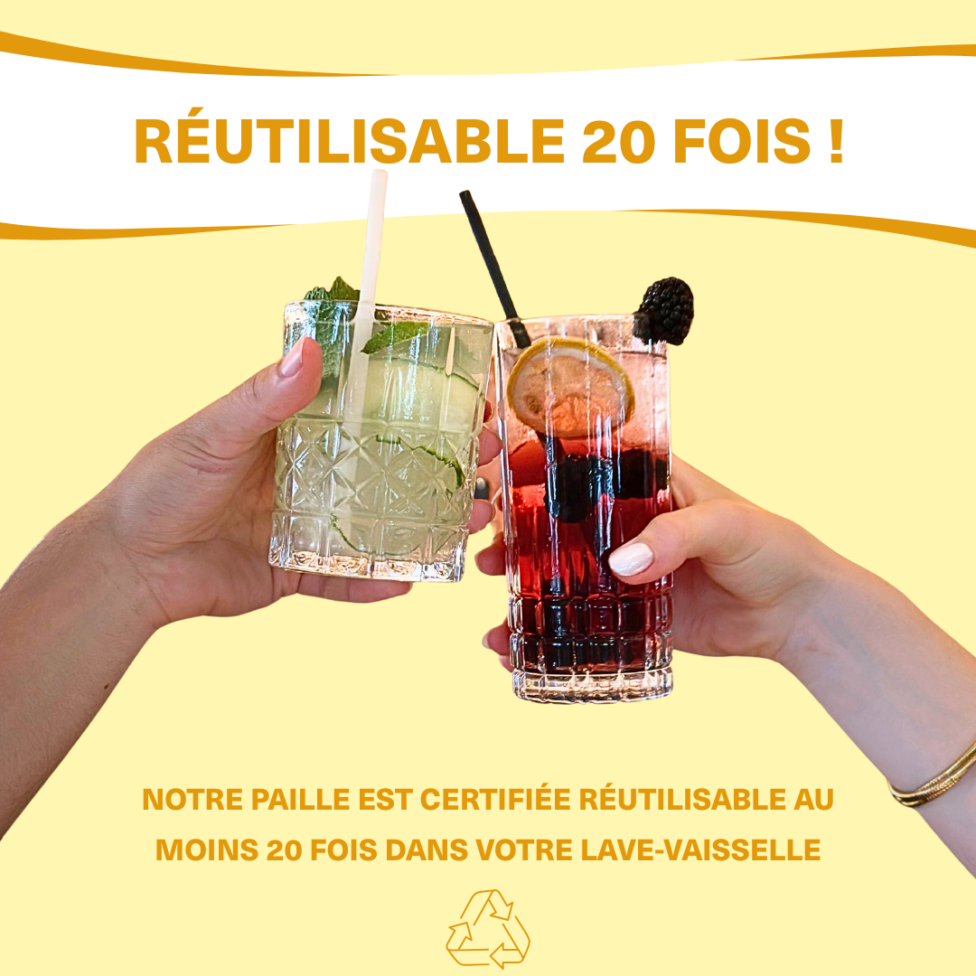 La BUBBLE-BERRY - Paille pour Bubble tea en fibres végétales françaises