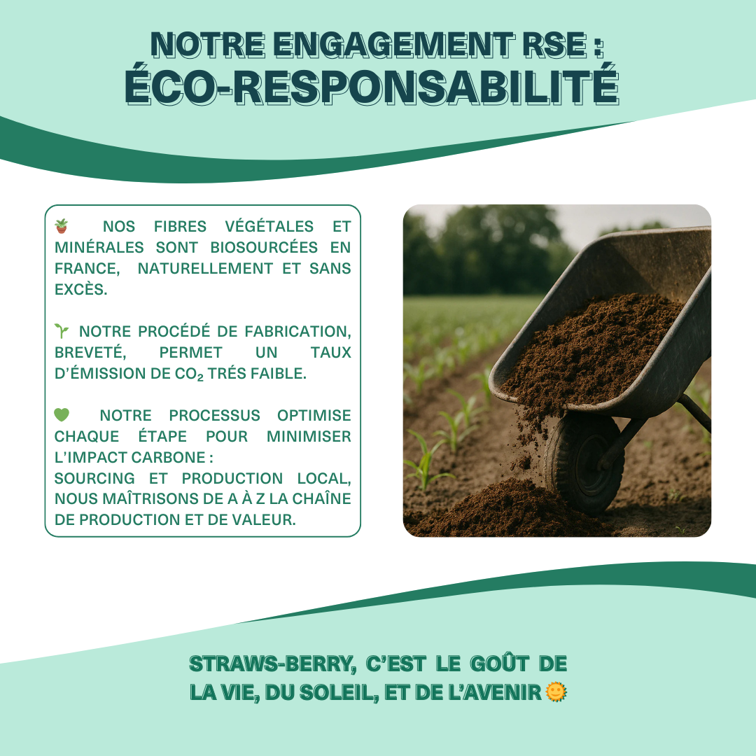 La LARGE-BERRY - Paille pour smoothies en fibres végétales françaises