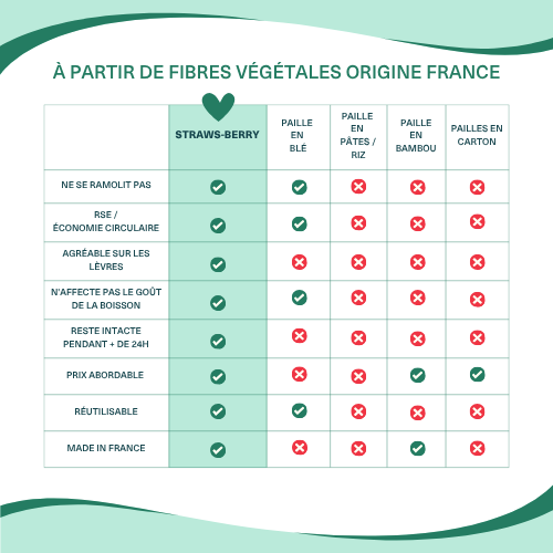 La LARGE-BERRY - Paille pour smoothies en fibres végétales françaises
