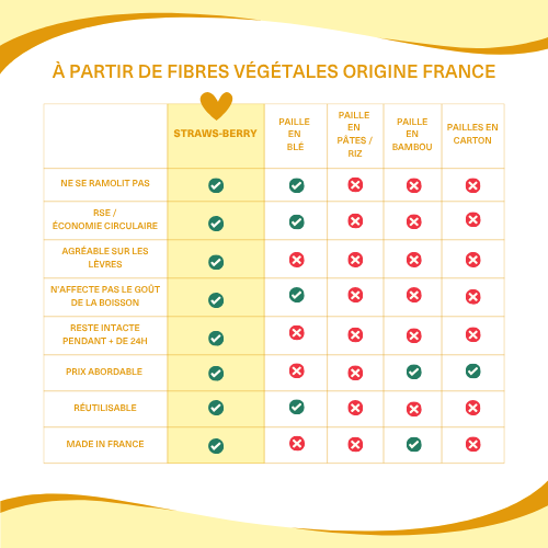 La BUBBLE-BERRY - Paille pour Bubble tea en fibres végétales françaises