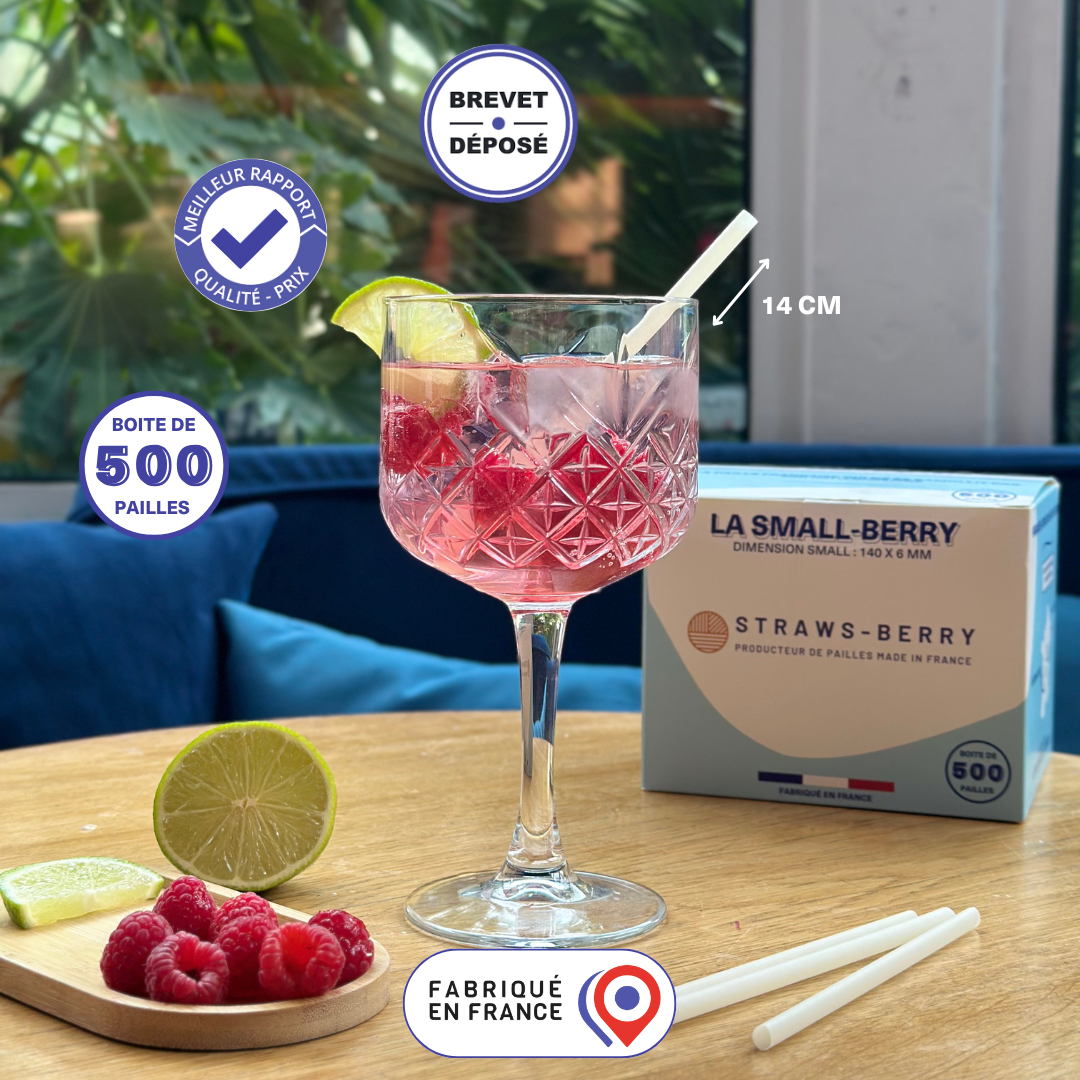 SMALL-BERRY - La petite paille à shorts drinks & cocktails