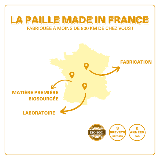 La BUBBLE-BERRY - Paille pour Bubble tea en fibres végétales françaises